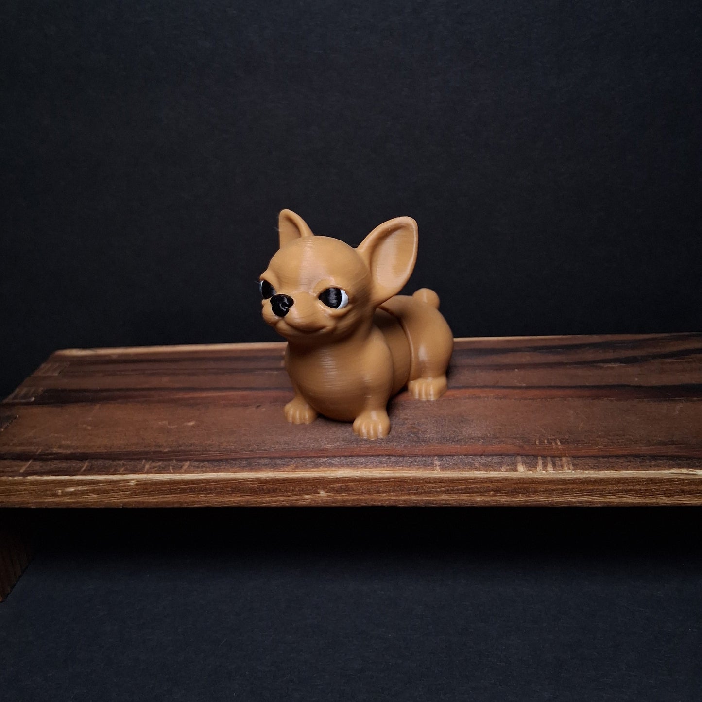 Chihuahua