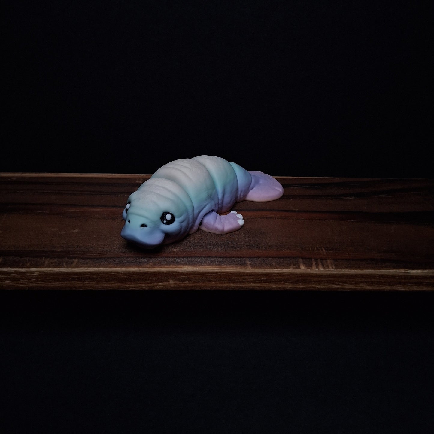 Rainbow Manatee