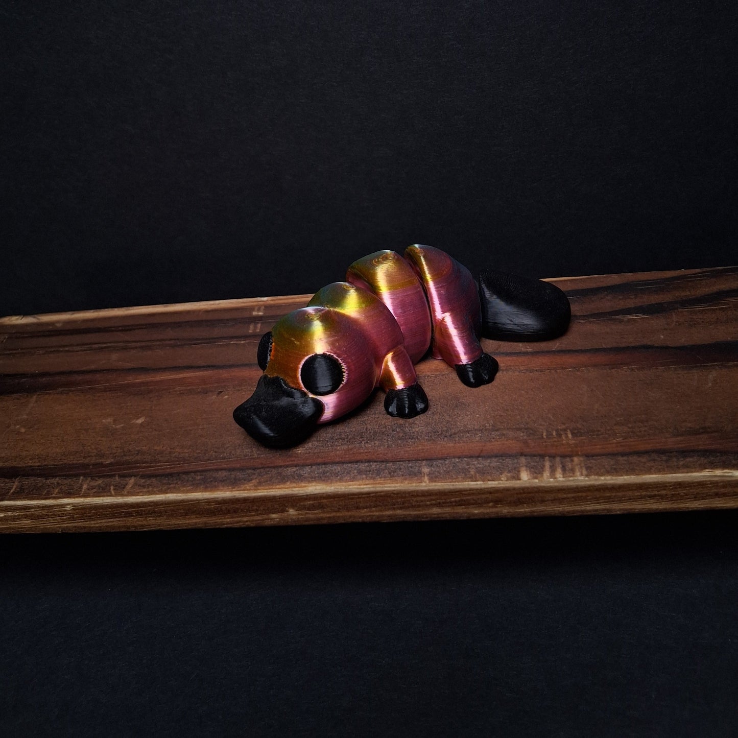 Rainbow Playpus