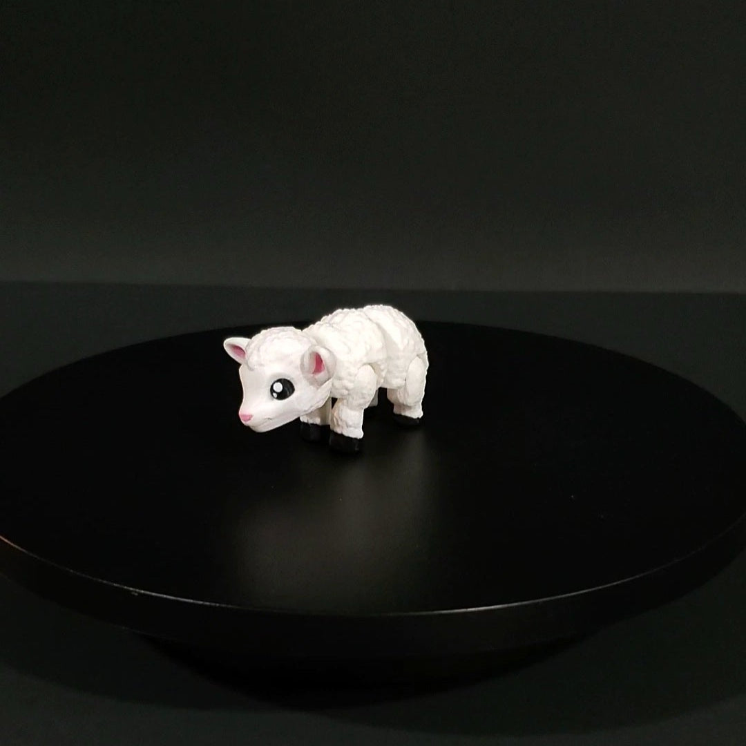 Pet Lamb