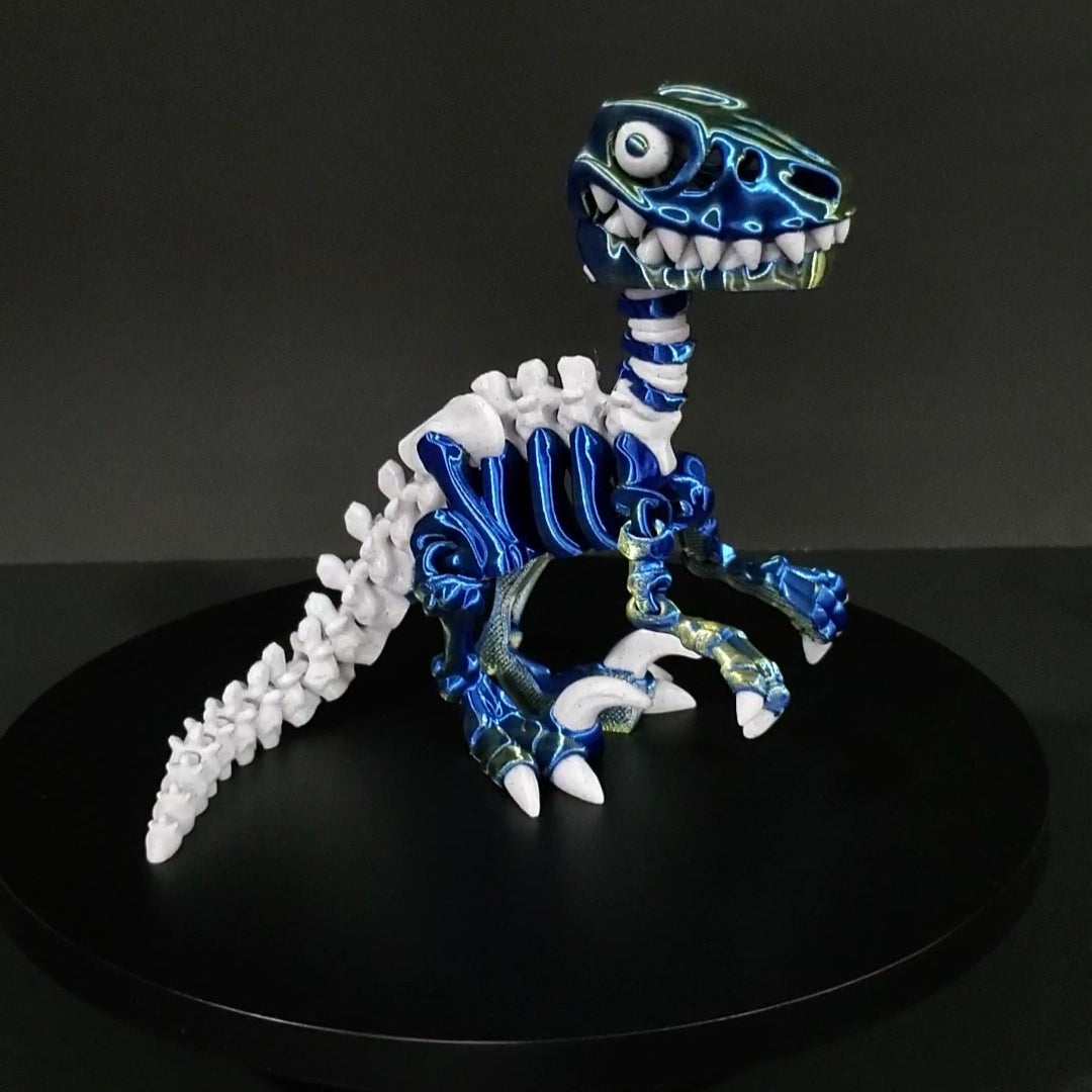 Raptor Skeleton
