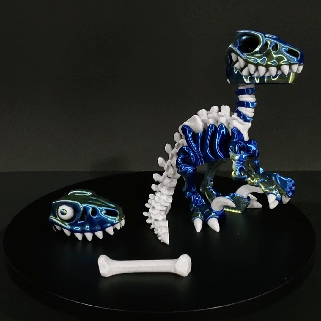 Raptor Skeleton