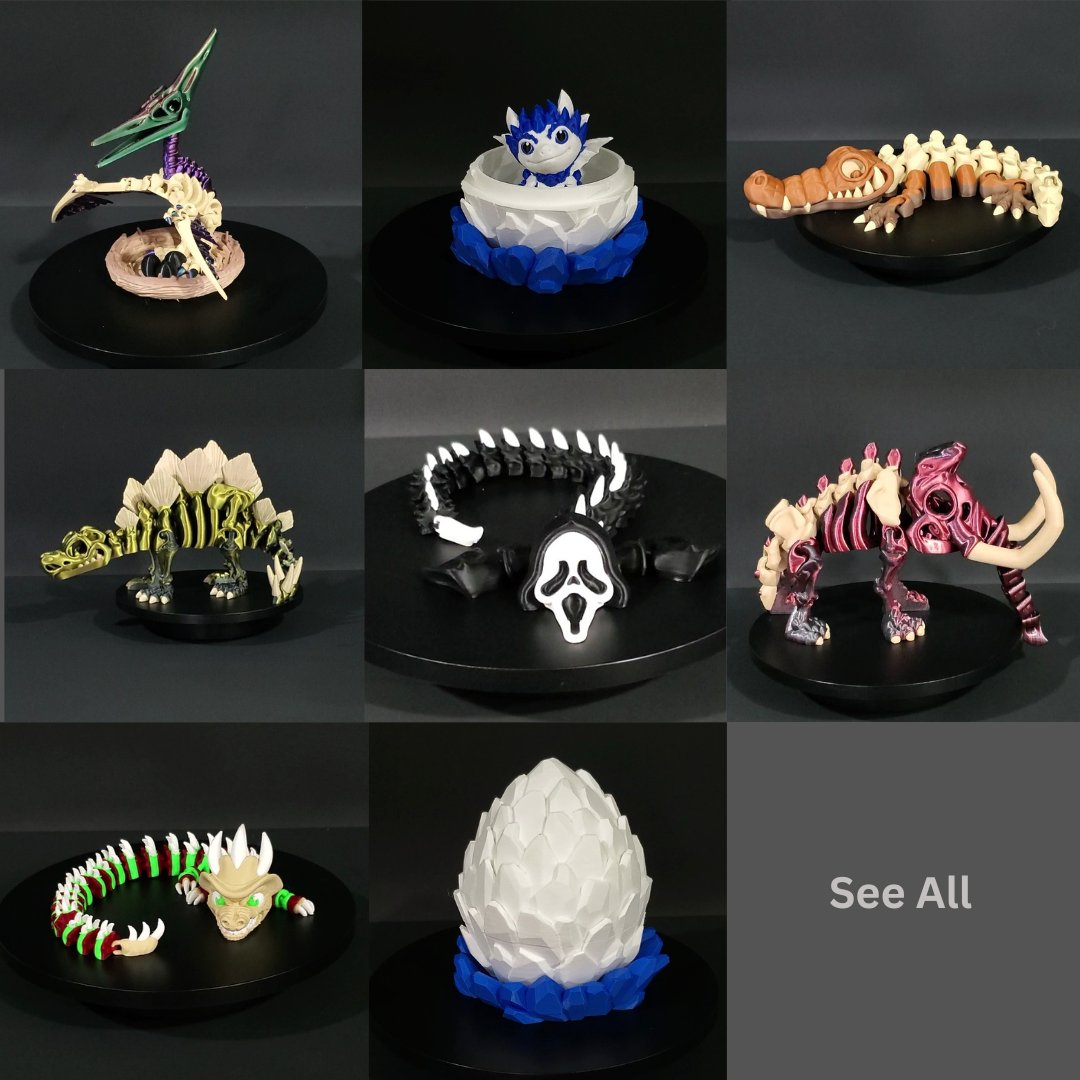 Dragons & Dinosaurs