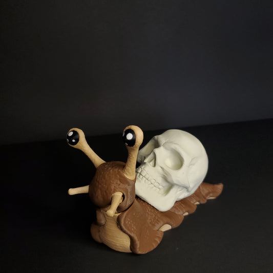 Skull Snail