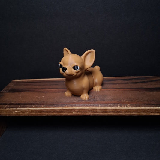 Chihuahua