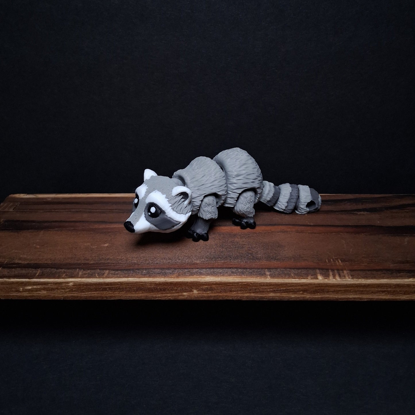 Raccoon