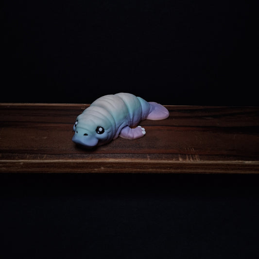 Rainbow Manatee