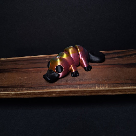 Rainbow Playpus