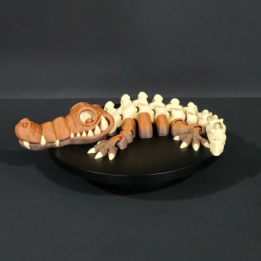 XL Crocodile Skeleton