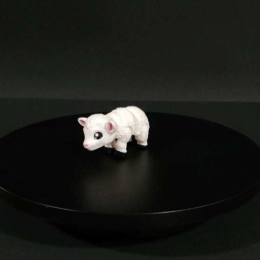 Pet Lamb