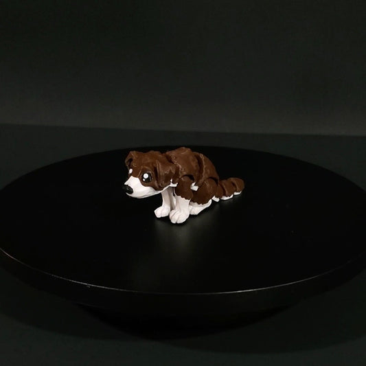 Pet Dog