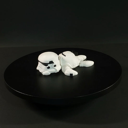 Stormtrooper Turtle