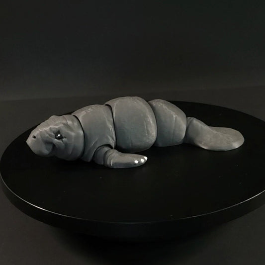 Manatee