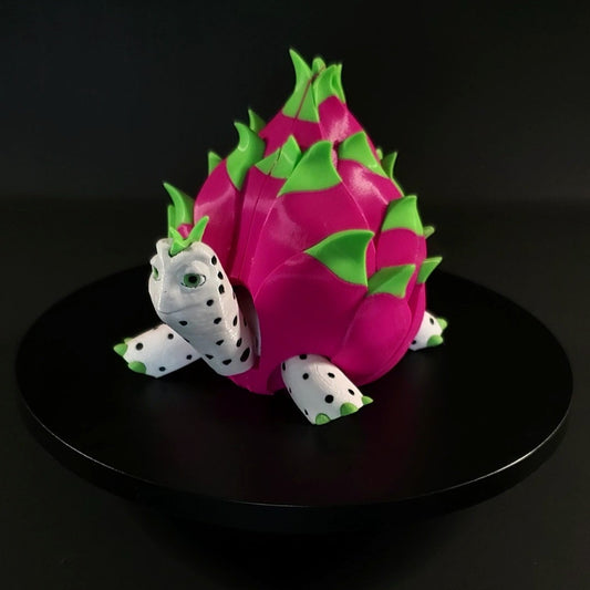 Dragon Fruit Turtle